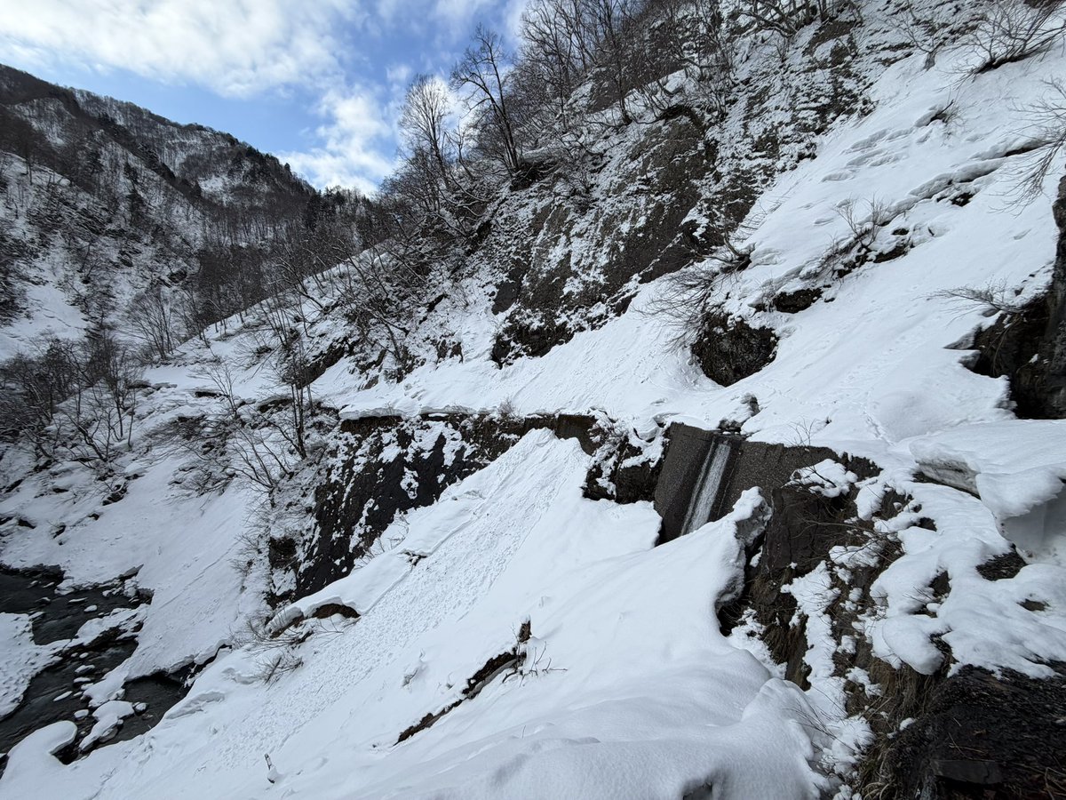 かちょ tweet media