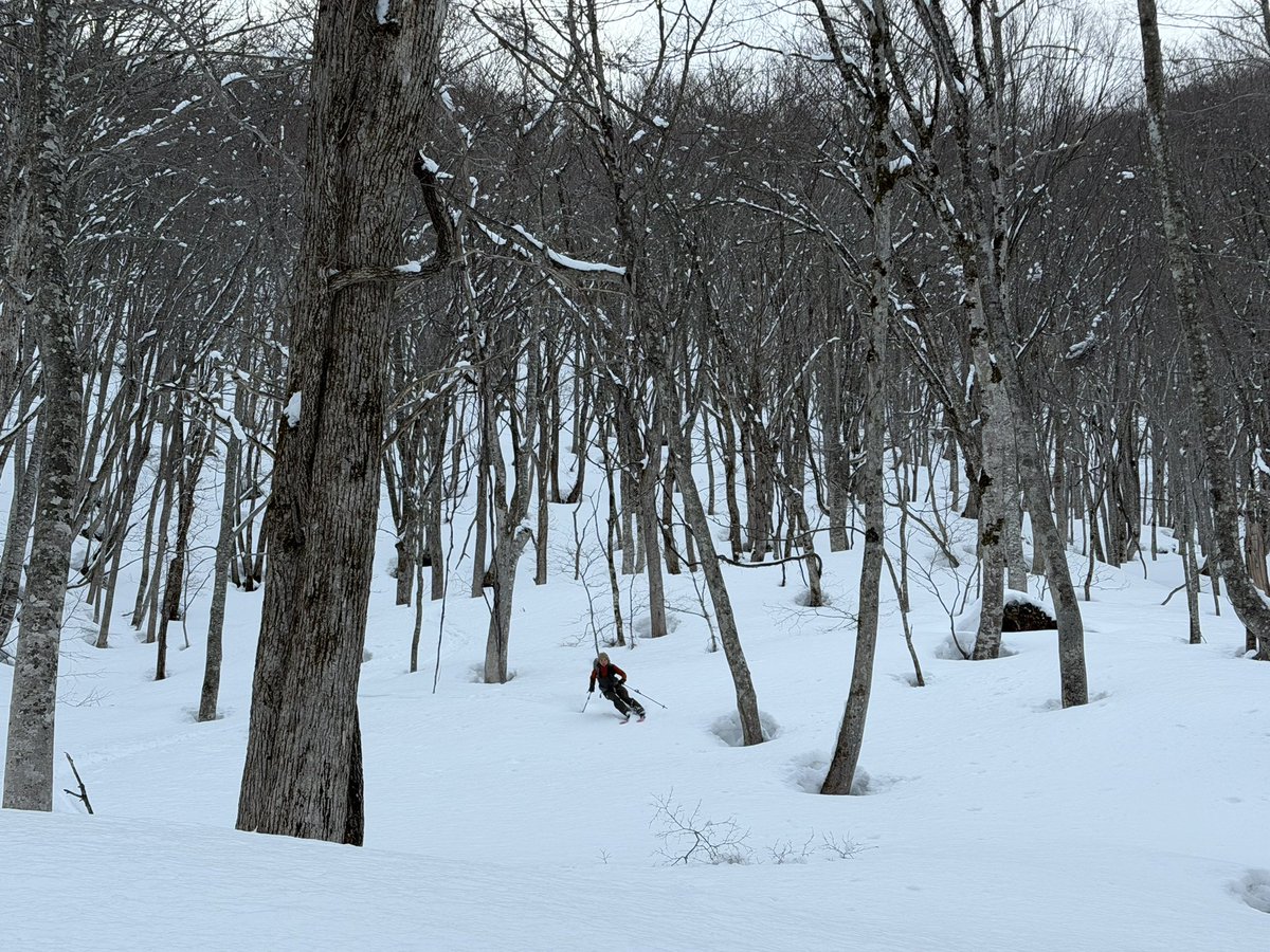 かちょ tweet media