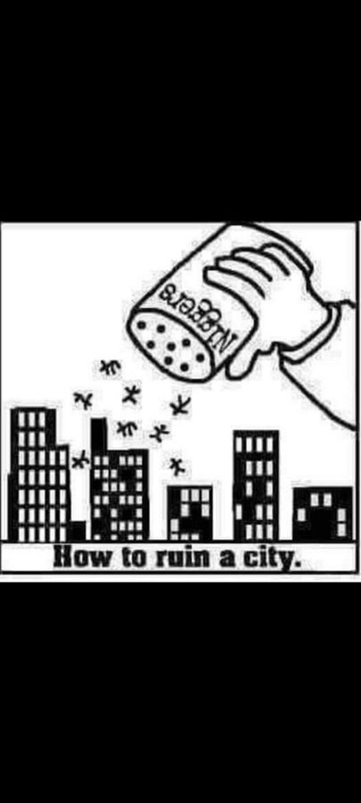 staz kas tweet media