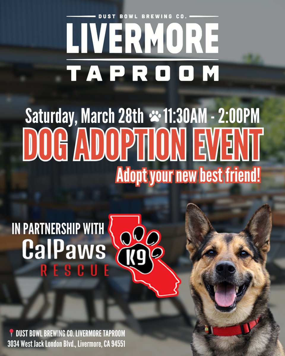 dustbowlbrew's tweet photo. Join us at our Livermore Taproom on Saturday, March 28th for a Dog Adoption Event in partnership with @calpaws_k9_rescue! 🐾

Adoptable dogs will be in the Beer Garden from 11:30 AM – 2:00 PM. 

Come for a beer and leave with a new best friend! 🍻🐶 https://t.co/ExmKjU3or2