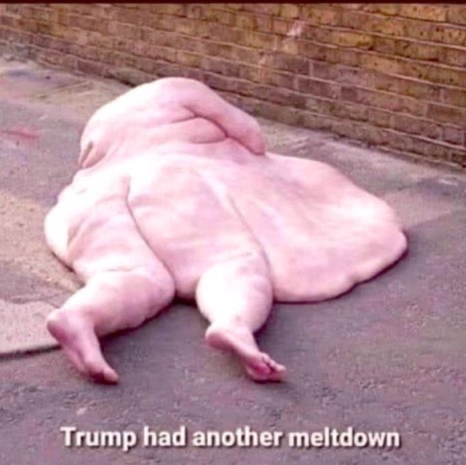 Kolonel Kiwi.🇳🇿🇺🇦🇦🇺 tweet media