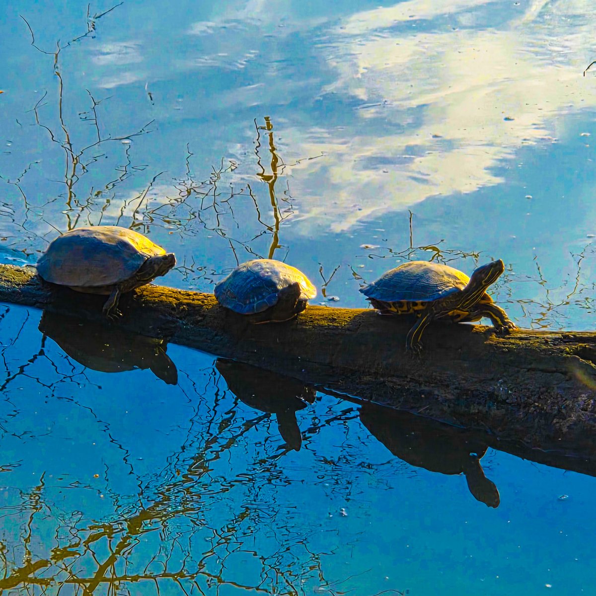 Andy Spessard tweet media