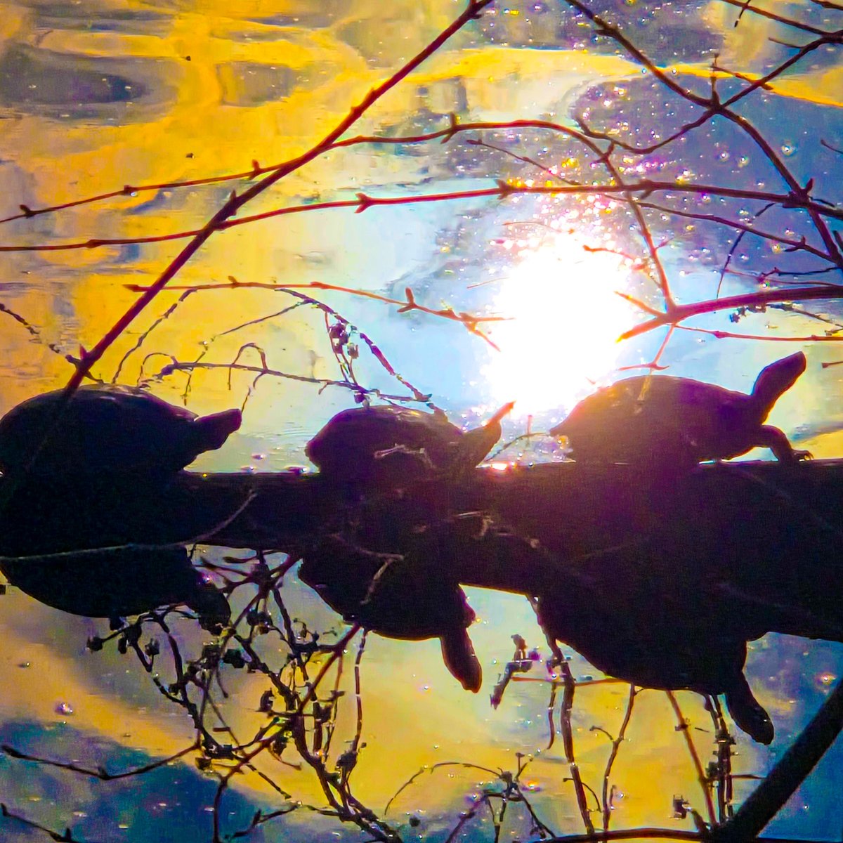 Andy Spessard tweet media