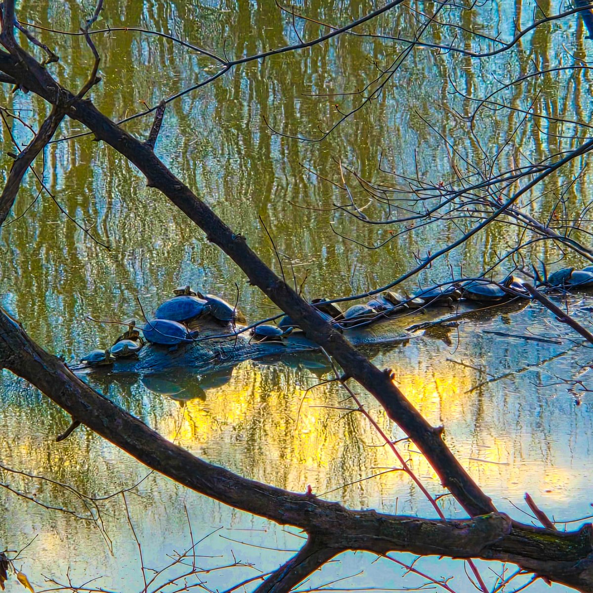 Andy Spessard tweet media