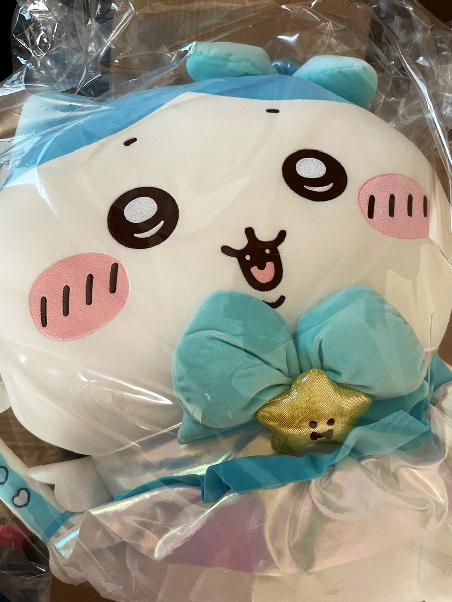 hachiware_qp's tweet photo. すんごぉくかわいい😭💕 https://t.co/pfGawUJGOe