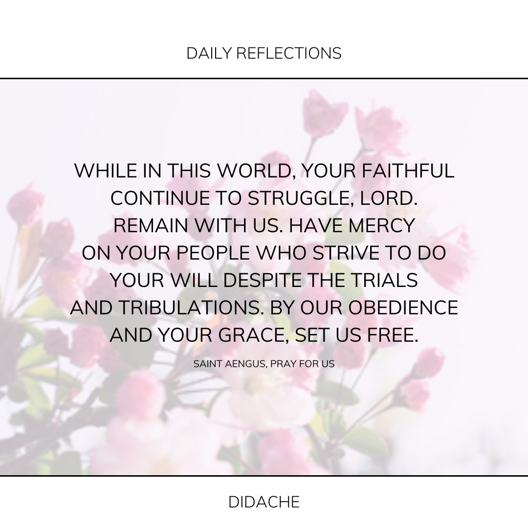 The Feast tweet media