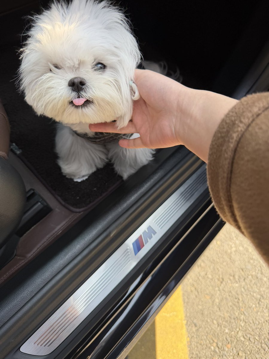 真的太可爱了～🫠