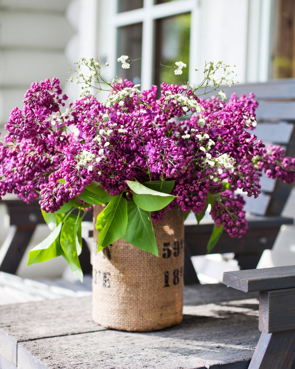 isq's tweet photo. I Love Lilacs 💜 https://t.co/kAOjmEmpuG