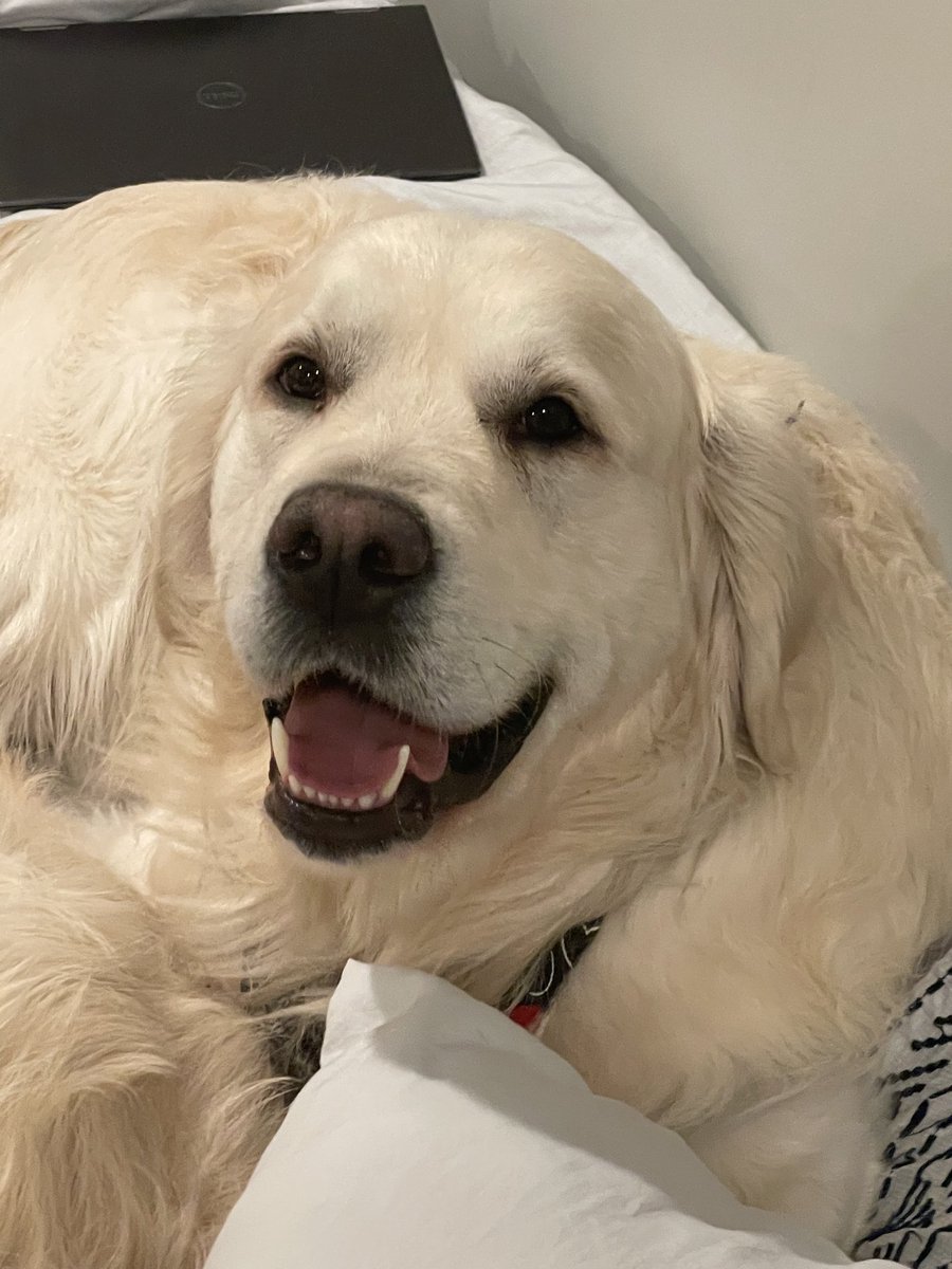 Kevin Reilly tweet media