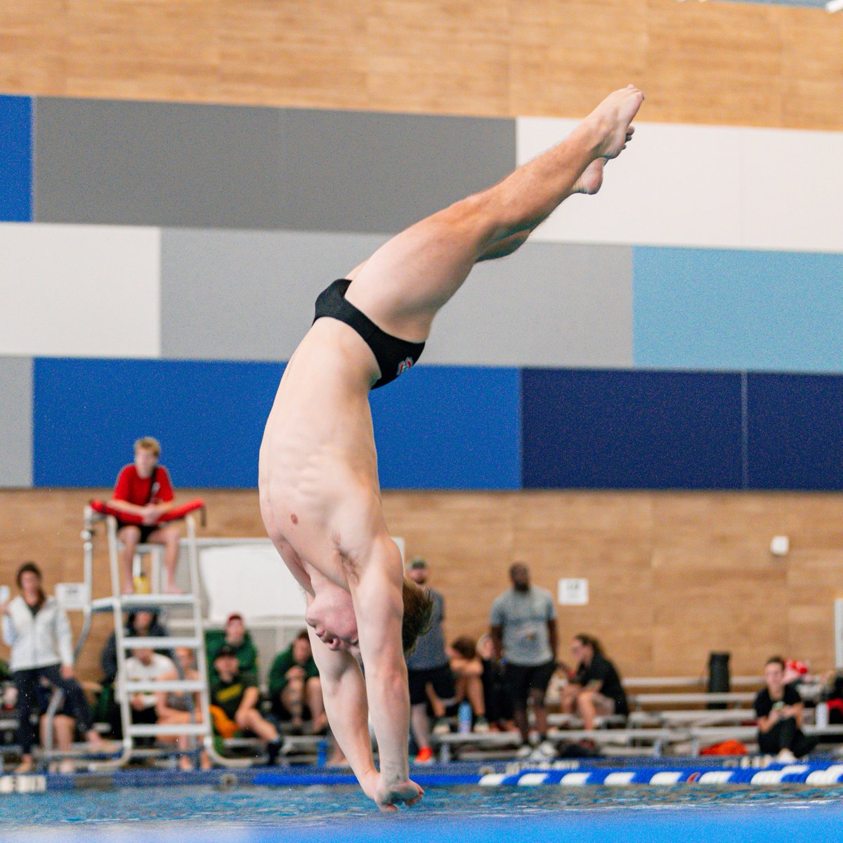 SCSU_SWIMDIVE's tweet photo. 𝐎𝐅𝐅𝐈𝐂𝐈𝐀𝐋𝐋𝐘 𝐐𝐔𝐀𝐋𝐈𝐅𝐈𝐄𝐃 ☑️

Jimmy Nord and Abriella Werner officially qualify for the NCAA Championships at the Qualification Diving Meet!

#GoHuskies | #AllAsideHuskyPride 🐾 https://t.co/DreD1mhGDi