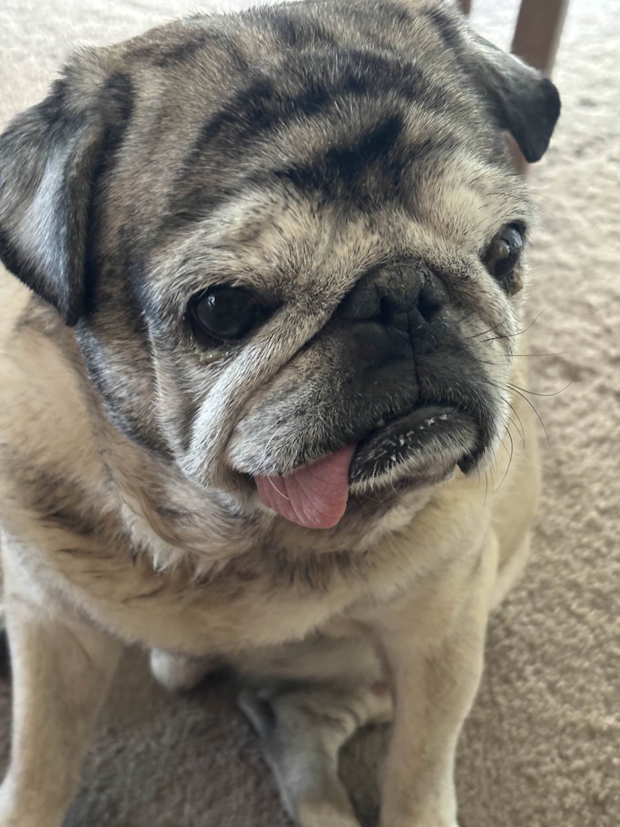 BrainWorms tweet media