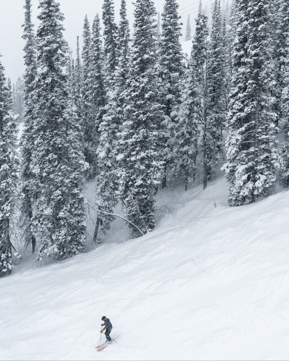 Four Seasons Jackson tweet media