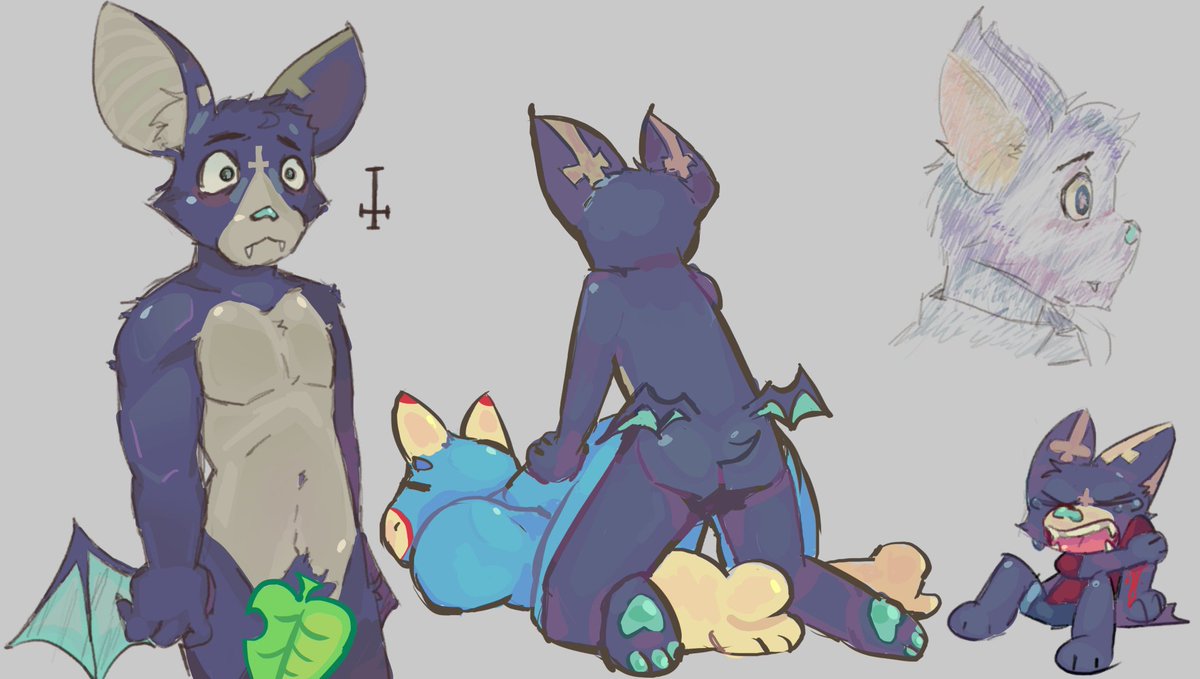 Helb ‡ tweet media