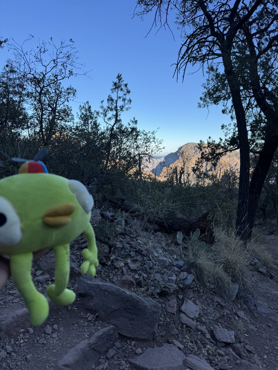 OneStarVic's tweet photo. Today I hiked up Emory Peak in Big Bend Natl Park! I even completed the Rock Scramble to get to the top! @AggroCrabGames I was scared of the Scoutmaster getting me, but I had my buddy Bing Bong with me to make me feel better! He made it to the PEAK too! https://t.co/XO1R7CR9RQ