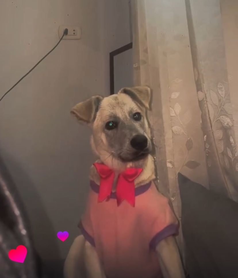 Mike Niken tweet media