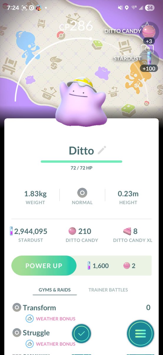 Ashley (MrsRaspberryMeme) tweet media