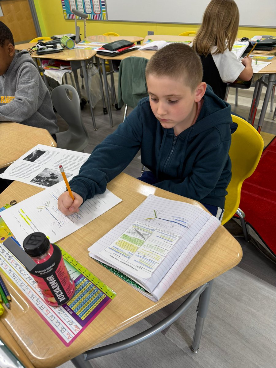 Courtney Rua tweet media