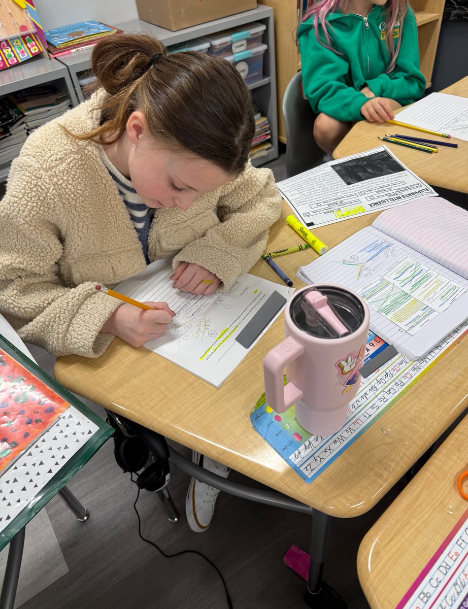 Courtney Rua tweet media