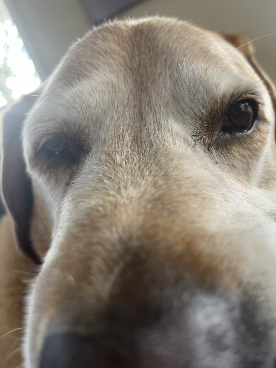 Quakitus tweet media