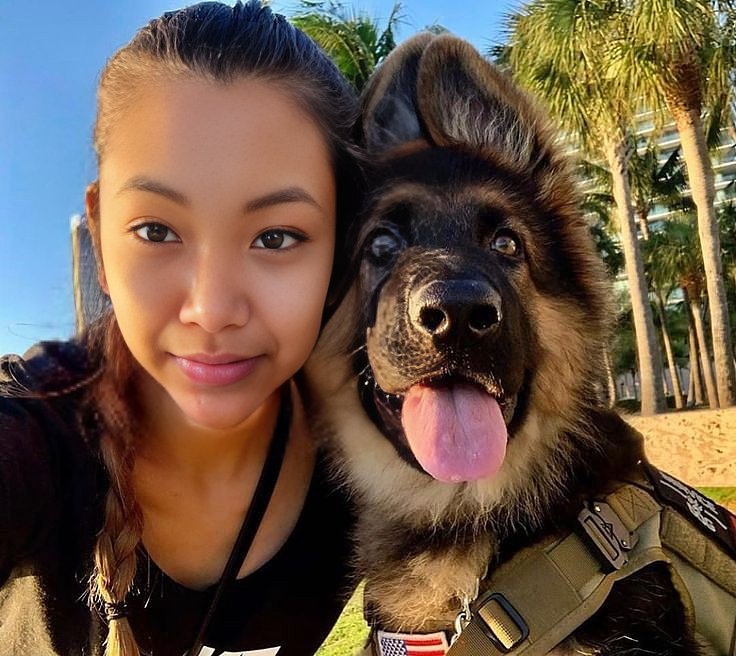 Sofia_Pup's tweet photo. Some Hearts Donโt Follow The Rules Society Wroteโฆ They Follow A Heartbeat With Four Legs Instead ๐ค๐พ ๐ฎ๐ฅ
๐ https://t.co/p1rp3uPFH7 ๐ฅ
#Zoophilia #HumanAnimalLove #FurryHeart #PrimalConnection #BeyondTaboo #BeastLover #ZoophileCommunity #TrueBond https://t.co/wZwPgPtMjR