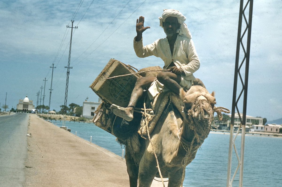 ERI PHTO33 tweet media