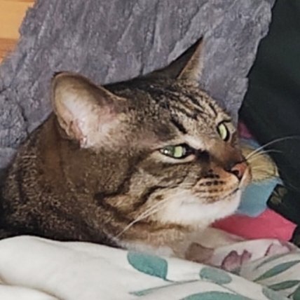 𝙴𝚟𝚎𝚒 (@evei_416) on Twitter photo 