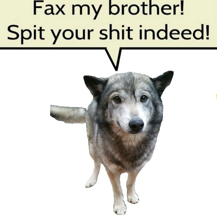 eep ʚ♡ɞ tweet media