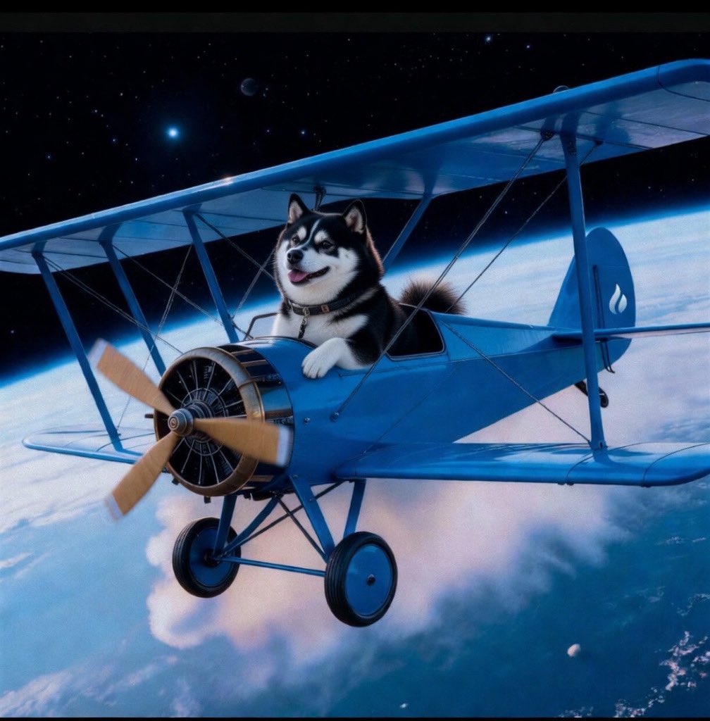 tibor.sui tweet media