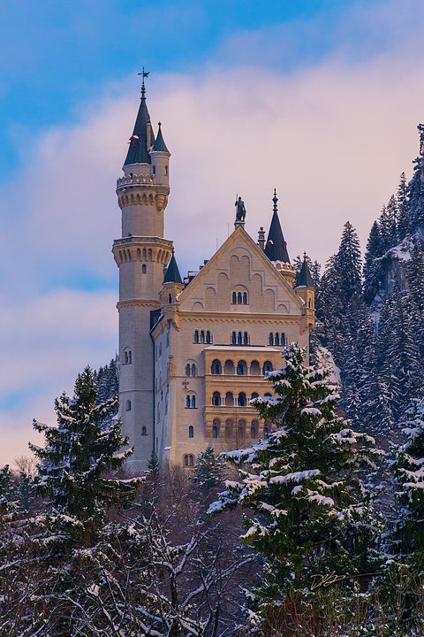 arrowflight tweet media