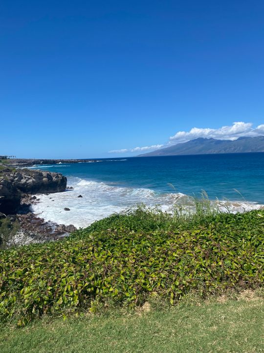Art of the Day! "Kapalua". Buy at: ArtPal.com/art4allpeople?…