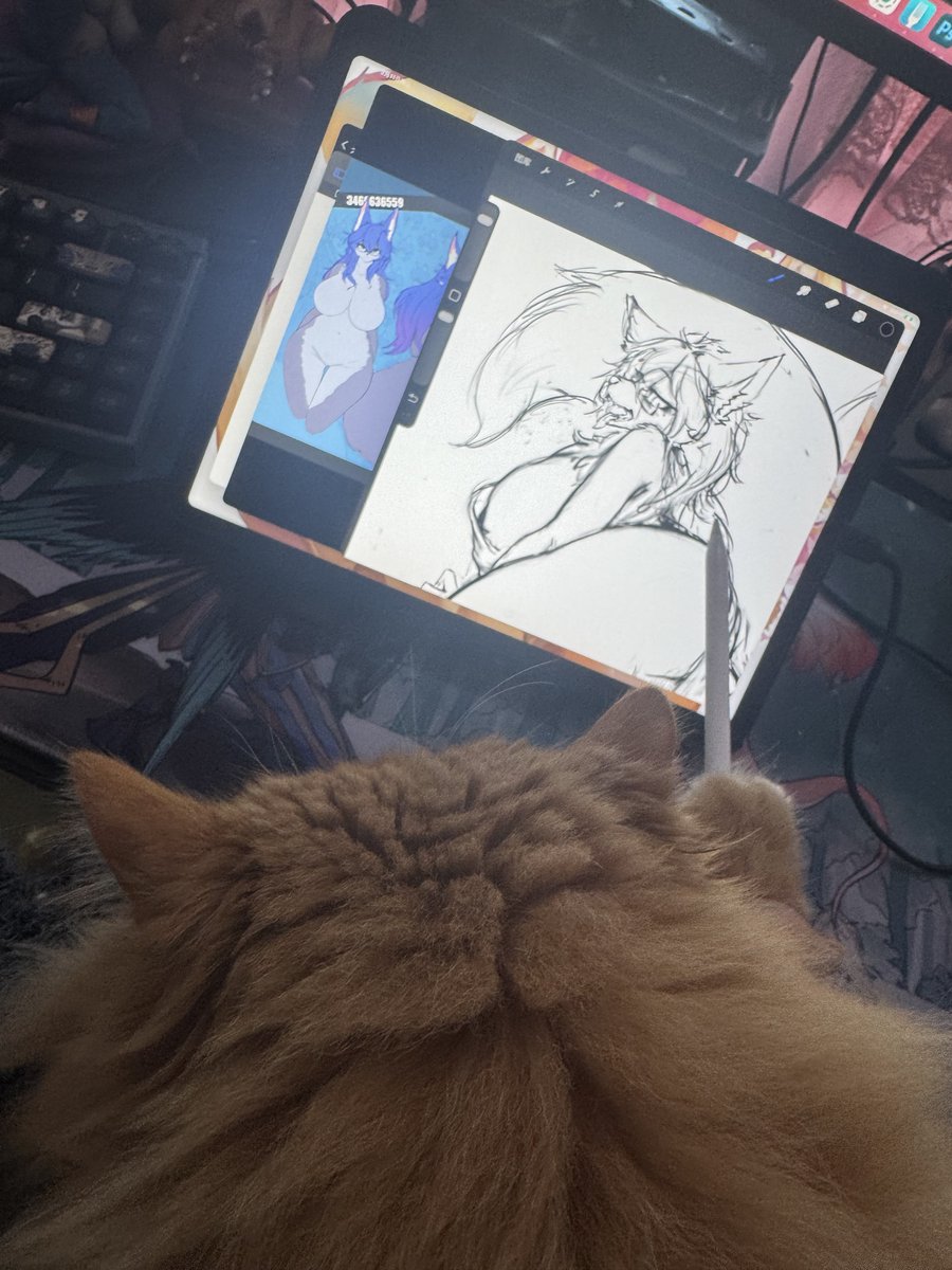 🔞NekoForest喵小森 tweet media