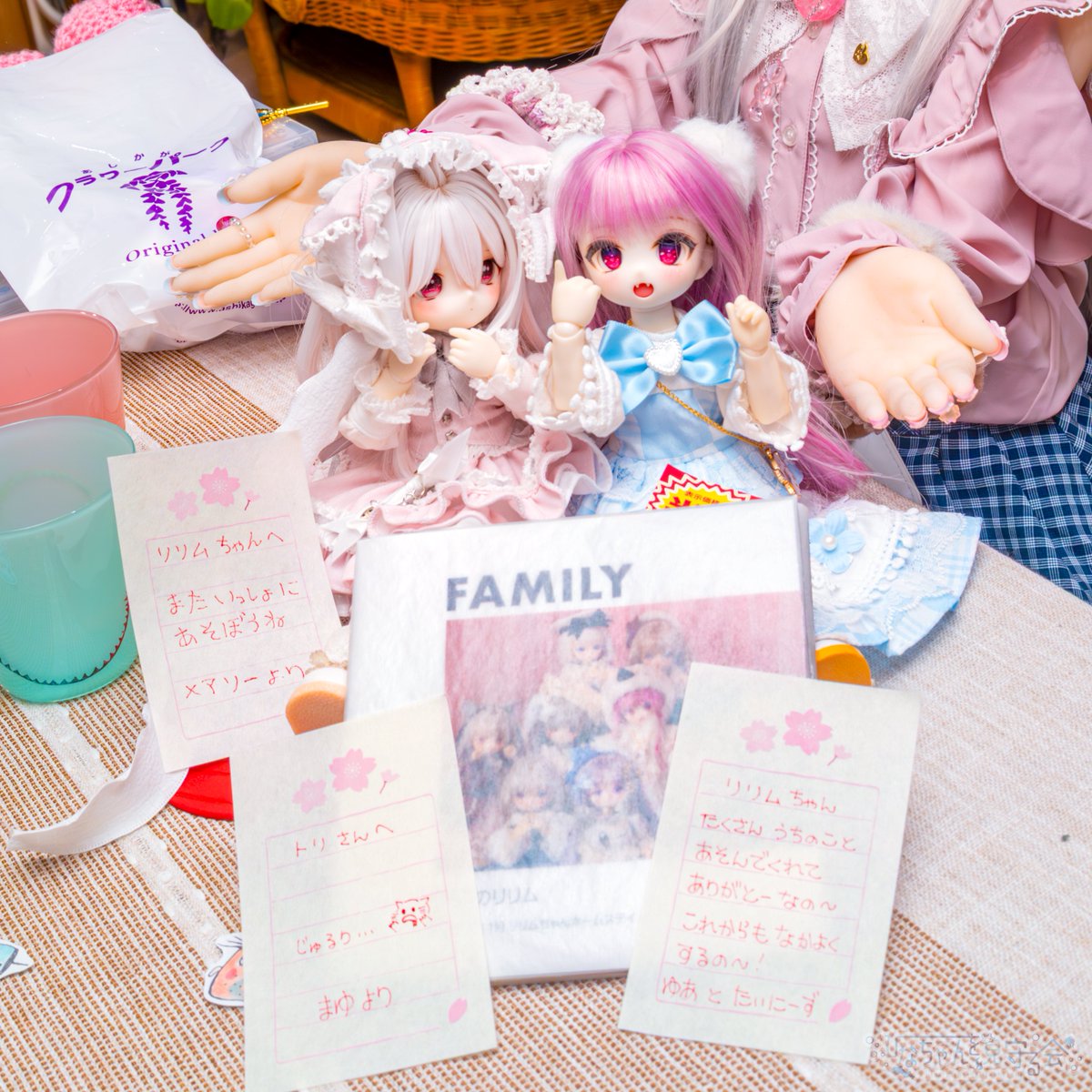 ゆあ「これ、リリムちゃんにプレゼントなのー」
リリム「あたしに？あら、前お家に行った時のお写真じゃない‥ふふん、また行ってあげてもいいわよ！」
素直にお礼を言わないリリム😉
〜〜
しののんさんからフォトブックのプレゼントをいただいちゃいました✨ありがとー💕
#TinyFox