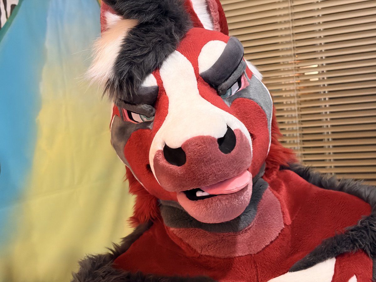 You don't have a salt lick for me? 
Guess someone else's getting a horse  ̶d̶ licking then