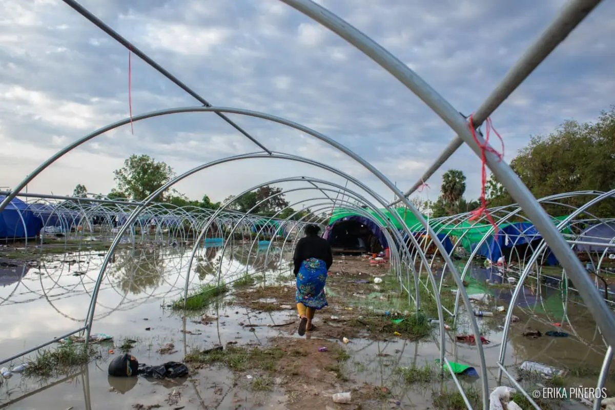 Ritthy OU (អ៊ូ រិទ្ធី) tweet media