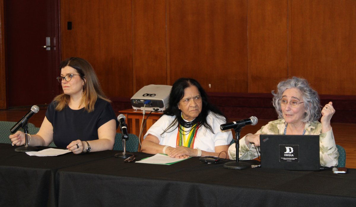 FIMI-IIWF tweet media