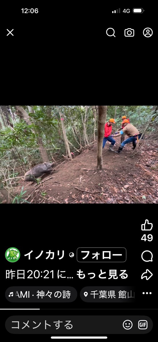 [くくり罠の全廃の為に考えた事]

くくり罠捕獲で、森林や山が破壊されていくことを、まず知って下さい。

ここに出した写真は、千葉県館山市の有害鳥獣駆除許可の行政による捕獲現場。
いかにくくり罠というものが、森林の下草、立木、土砂など自然破壊をしているか。