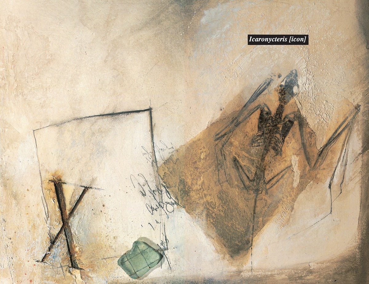 𝚈𝚘𝚞 𝚋𝚎𝚕𝚒𝚎𝚟𝚎 𝚒𝚗 𝙶𝚘𝚍 𝐁𝐫𝐮𝐜𝐞 ? tweet media