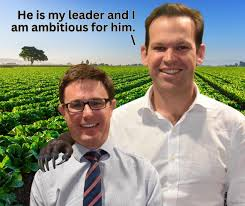 HempEdification's tweet image. The Gnat’s have moved from ‘Little to be Proud of’ to ‘Nothing to be Proud of’ &amp;amp; I cannot stop laughing! On a serious note, however, the former Minister for Coal is NOT a friend of the #hemp industry, as it would interfere with his profiteering from investments in fossil fuels.