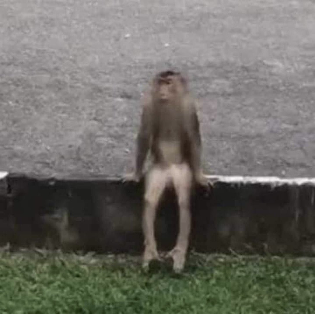 é nao tem jeito a única forma de ficar com um corpo escultural é tomando bomba