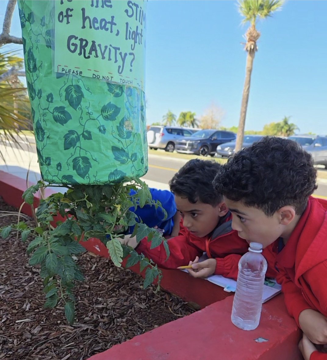 Julie Gladden tweet media