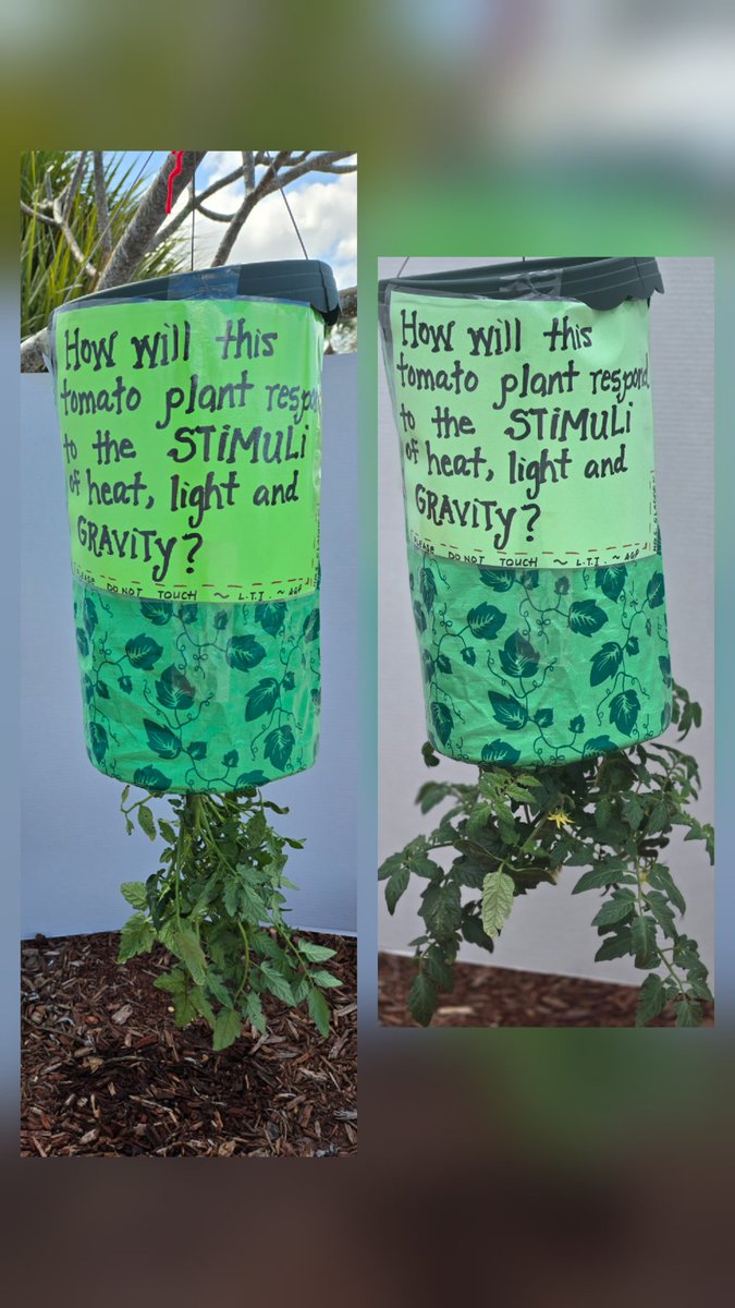 Julie Gladden tweet media