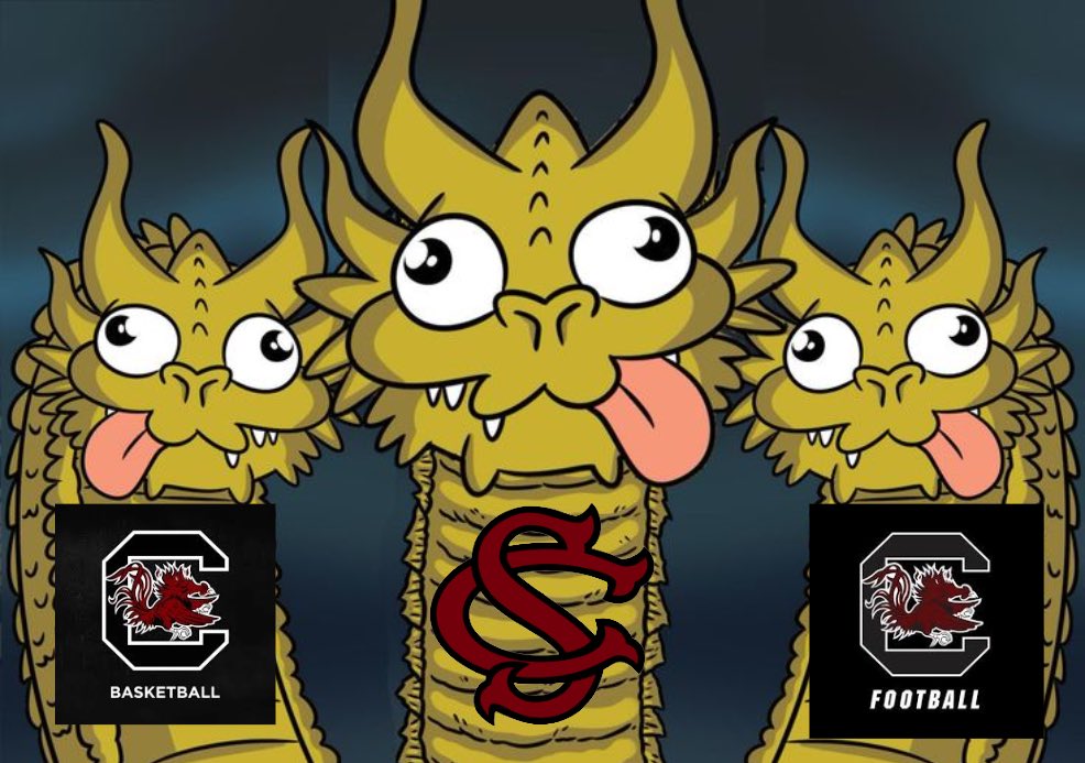 sc_mitchell's tweet photo. @GamecockBSB https://t.co/148q5689zf
