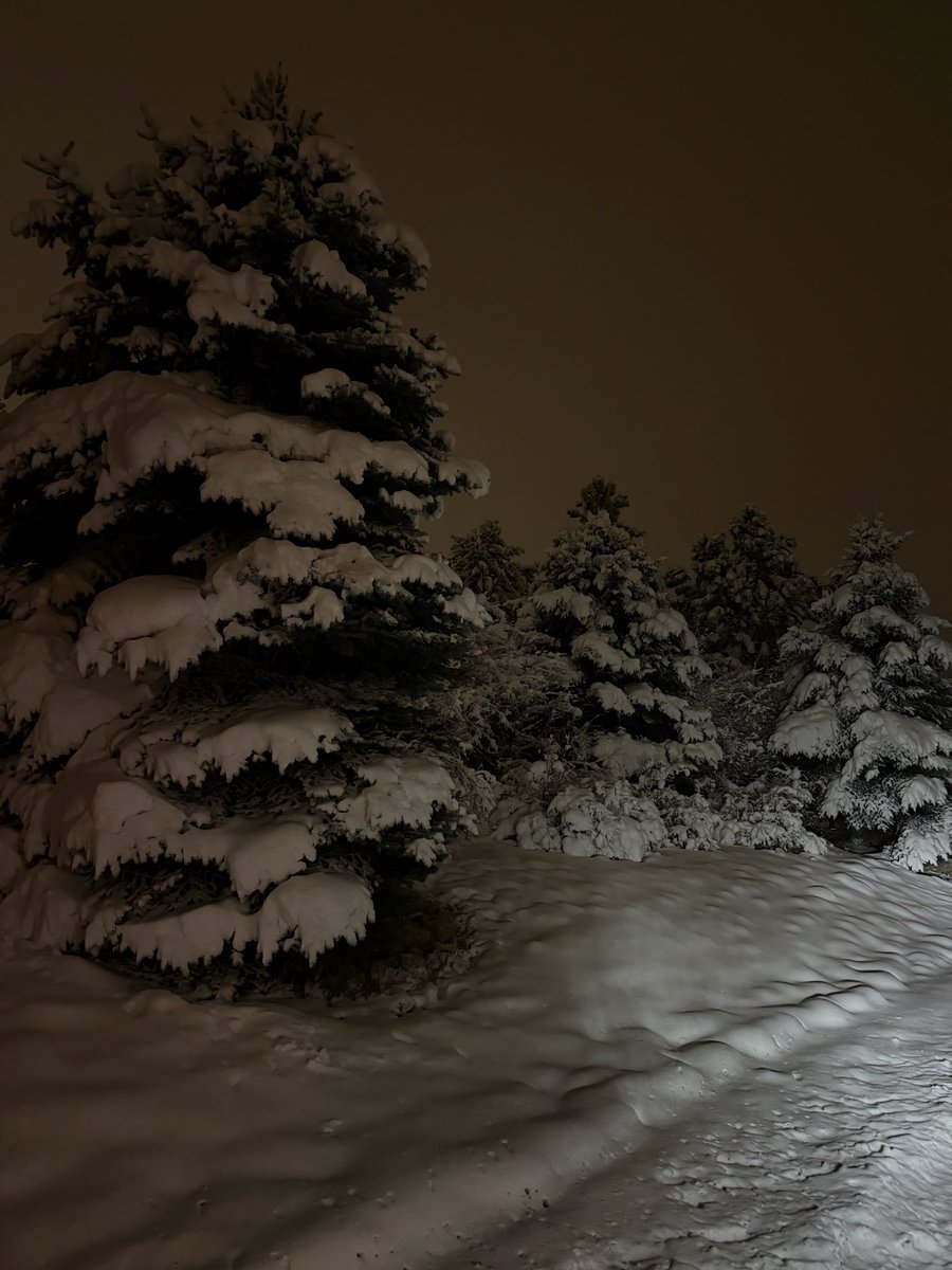 Turnin2 Colvin tweet media