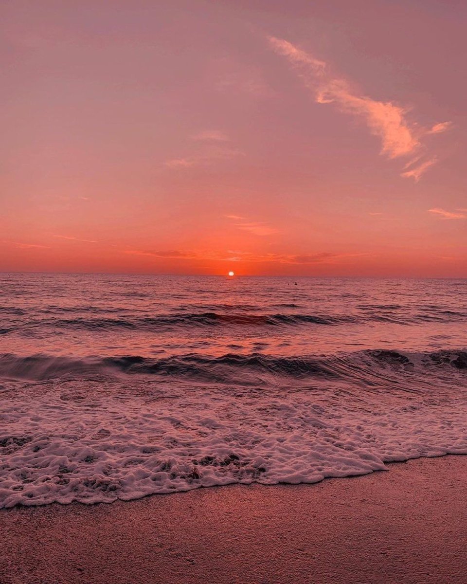 Aesthetics tweet media