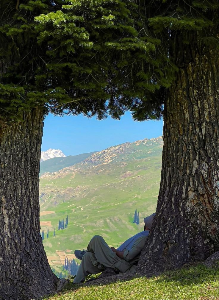 𝑝𝑢𝑟𝑒 tweet media