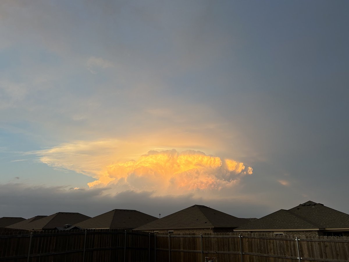 Emily Sutton tweet media