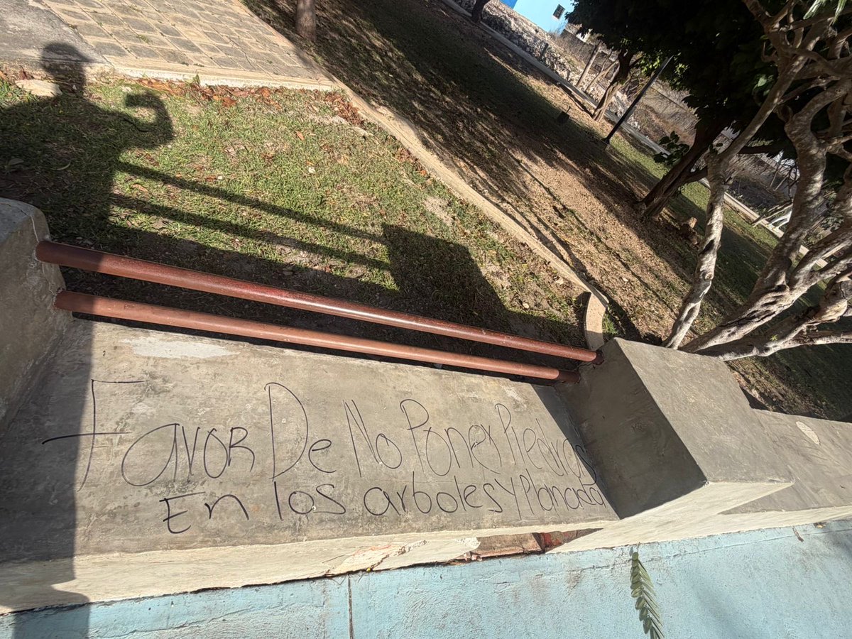 Lorenza 💅🏻 tweet media