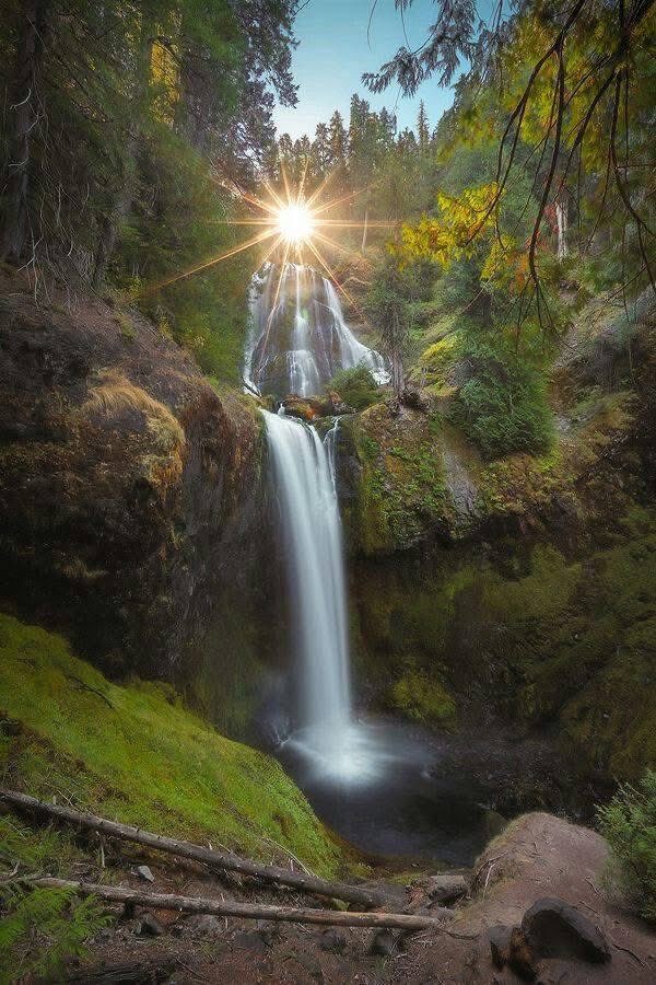 🌸🌻 Good morning friends 🌸🌻