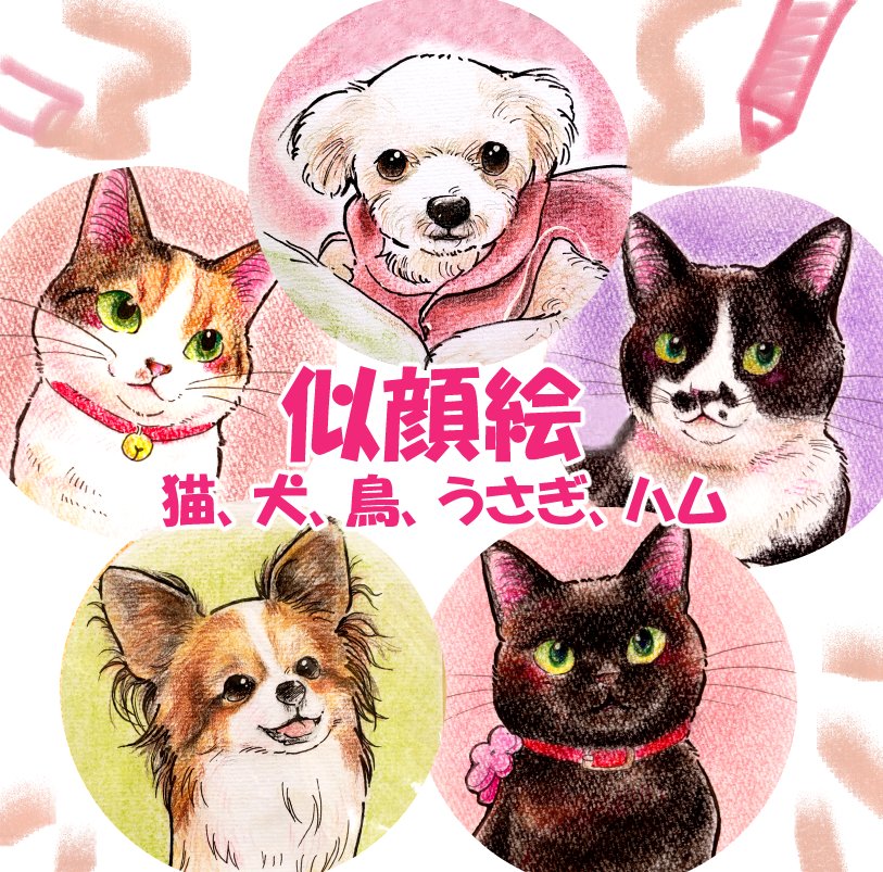 Strings cat・下島みちこ@猫の絵描き tweet media