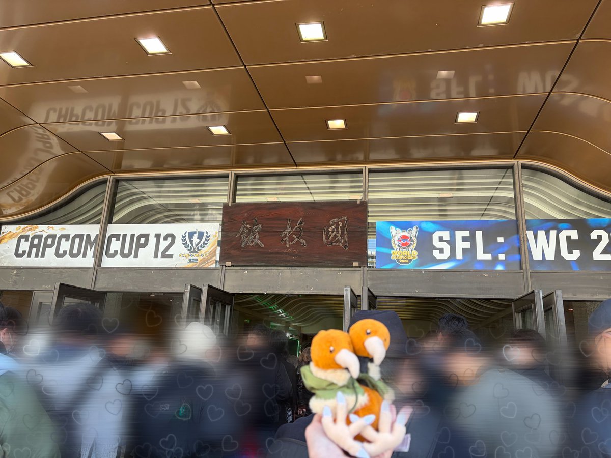 ひきこもドードー tweet media